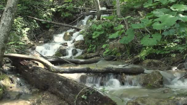 Agua dulce limpia de un arroyo forestal que corre sobre rocas — Vídeo de stock