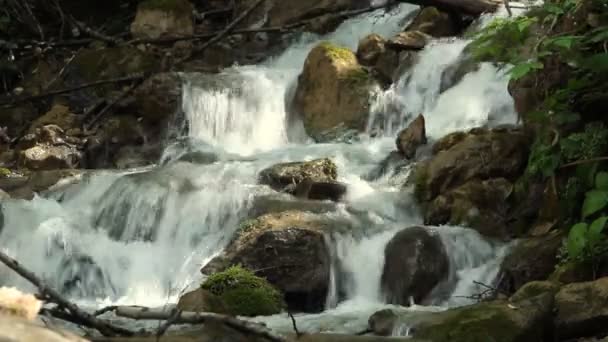 Agua dulce limpia de un arroyo forestal que corre sobre rocas — Vídeos de Stock