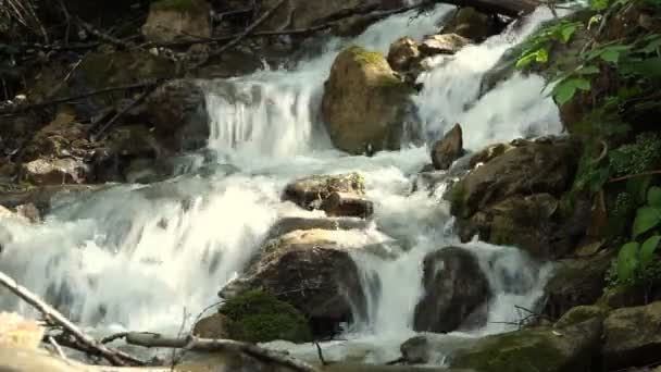 Agua dulce limpia de un arroyo forestal que corre sobre rocas — Vídeos de Stock