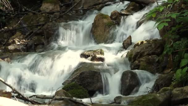 Agua dulce limpia de un arroyo forestal que corre sobre rocas — Vídeos de Stock