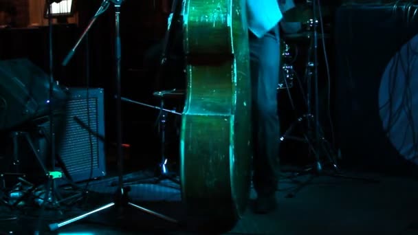 Man playing the contrabass, hand and bow detail close up. — Stock Video