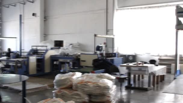 La gente trabaja en grandes almacenes con mercancías en la fábrica — Vídeos de Stock