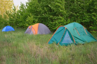 Ormanda kamp çadırı