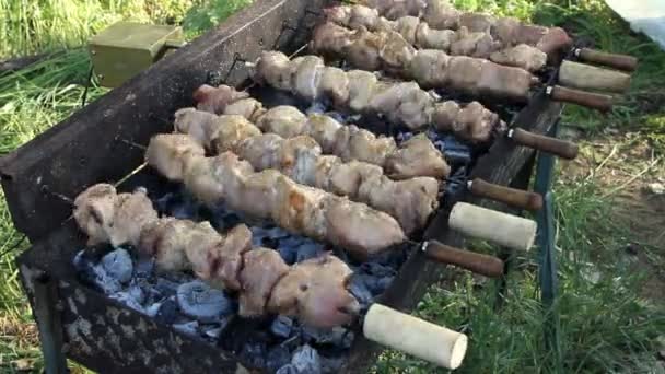 Barbacoa con deliciosa carne a la parrilla . — Vídeo de stock