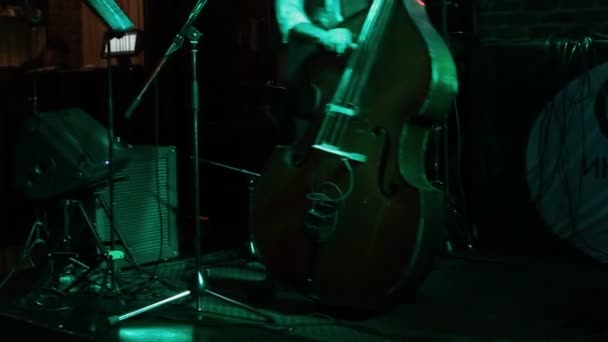 Man playing the contrabass, hand and bow detail close up. — Stock Video