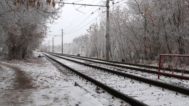 Modern tram in the city, Russian railroads — Stock Video