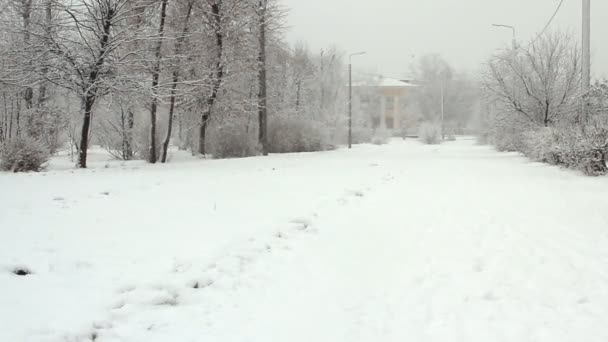 Park gränd i en snöig vinterdag — Stockvideo