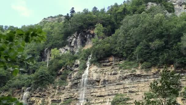 瀑布在森林中在夏季的一天 — 图库视频影像