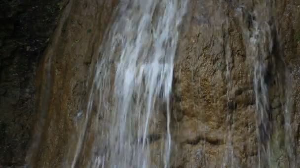 Waterfall in the forest at summer day — Stock Footage Waterfall in the forest at summer day Royalty Free Stock Footage