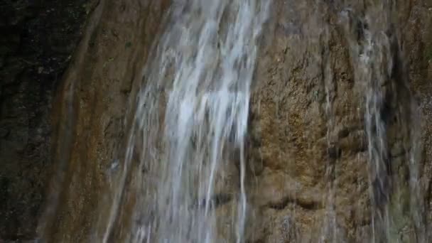 Cascada en el bosque en el día de verano — Vídeos de Stock