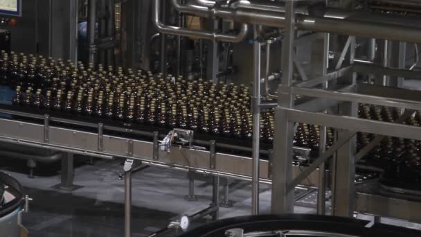 Plastic water bottles on conveyor or water bottling machine — Stock Video