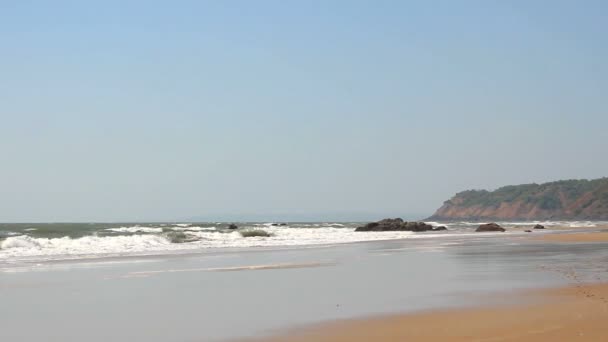 Playa de arena con palmeras — Vídeos de Stock