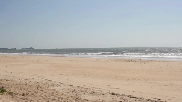 Playa de arena con palmeras — Vídeo de stock