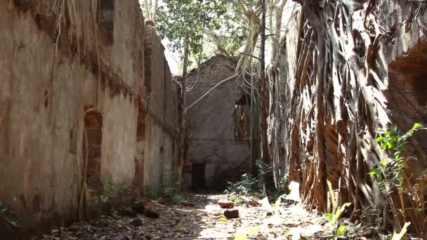Ruïnes van Redi fort in Khalchikar — Stockvideo