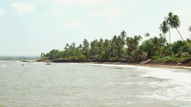 Playa de arena con palmeras — Vídeo de stock