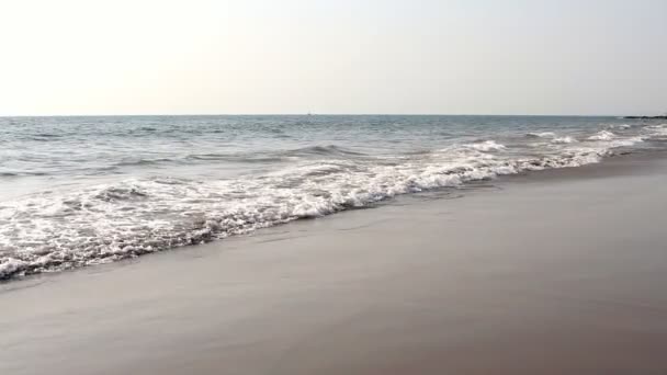 Waves touching sandy beach — Stock Video