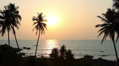 Gün batımında palmiye ağaçları silueti