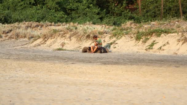 고아, 인도-2015 년 2 월 24 일: 정체 불명된 남자는 해변에 기타 연주. 고아 상태 바 가토 비치. — 비디오