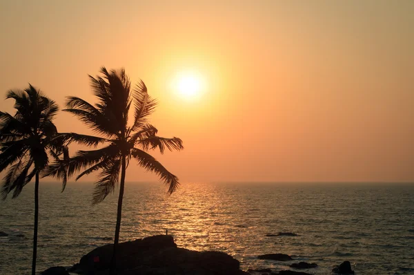 Palmbomen silhouet bij zonsondergang — Stockfoto