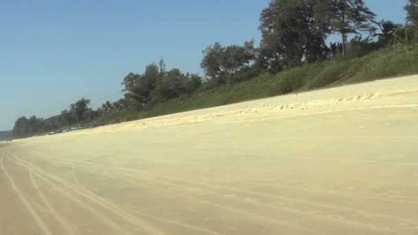 Песчаный пляж с пальмами — стоковое видео