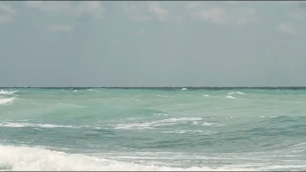 Ocean wiatr fale morza spray — Wideo stockowe
