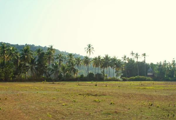 Панорама перегляд Гоа природи в Індії — стокове фото