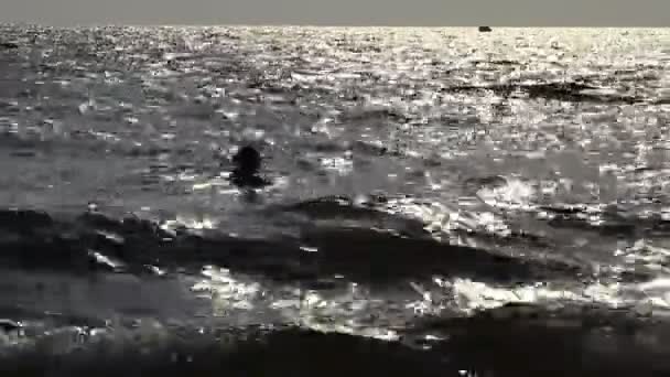 Silhueta de uma menina nadando no oceano — Vídeo de Stock