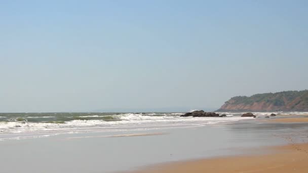 Playa de arena con palmeras — Vídeos de Stock