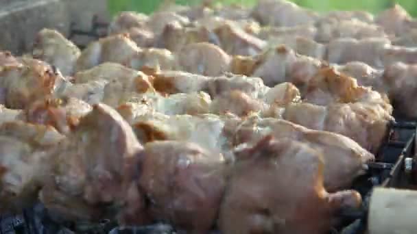 Барбекю с вкусным мясом на гриле . — стоковое видео