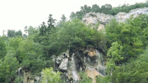 Grande cascade dans la forêt — Video