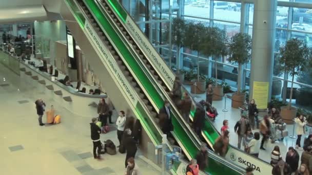 Moscou, Fédération de Russie - 20 février 2015 : Les gens dans l'aéroport international Domodedovo . — Video