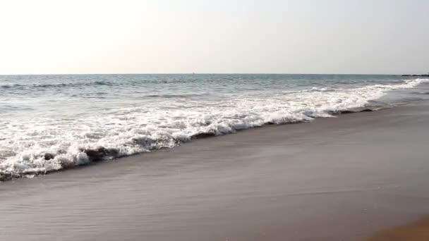 Waves touching sandy beach — Stock Video