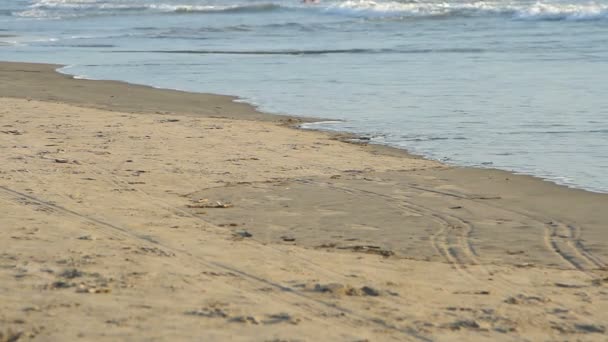 Golven aanraken zandstrand — Stockvideo