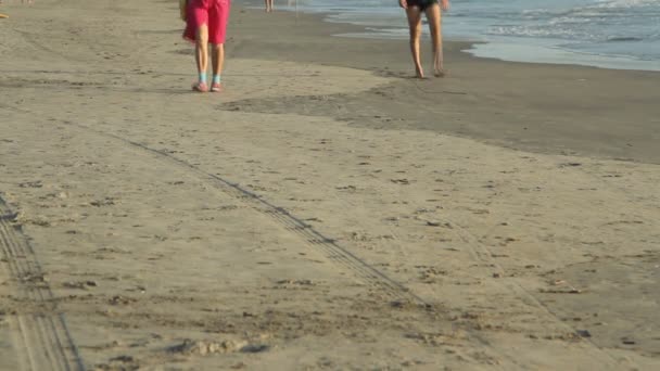 Niet-geïdentificeerde mensen wandelen op het strand. — Stockvideo