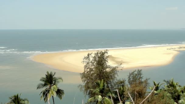 Playa de arena con palmeras — Vídeo de stock