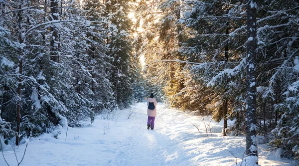 Žena Kráčející Zimním Lese — Stock fotografie