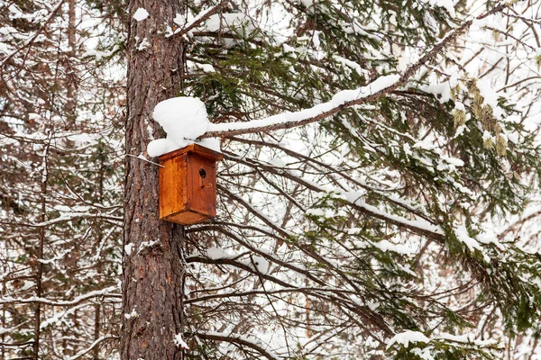 Domek Dla Ptaków Pniu Drzewa Zima — Zdjęcie stockowe