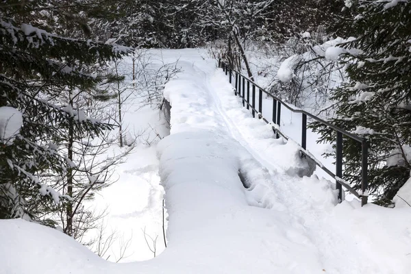 Sneeuw Bedekt Brug Een Kreek Een Diep Bos Winter — Stockfoto