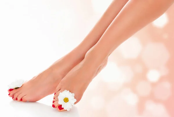 美しい女性の足とデイジーの花の抽象的なぼやけた背景 — ストック写真
