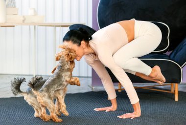 Evde yoga yapıyorum. Yoga yapan bir kadın köpekleriyle öpüşürken halıda poz veriyor.