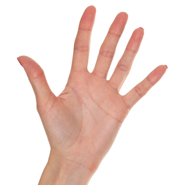 白い背景に孤立した女性の手 — ストック写真