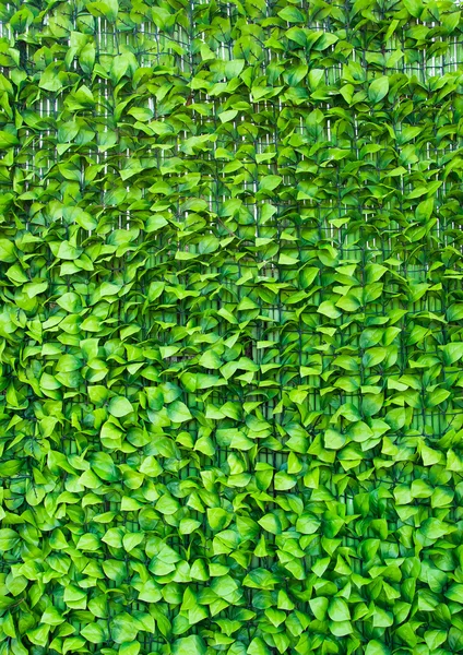 Fundo verde sob a forma de folhagem artificial . — Fotografia de Stock