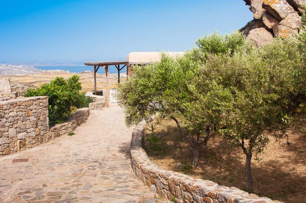 Griechische Straße an einem Hang mit Blumen und Olivenbäumen. — Stockfoto