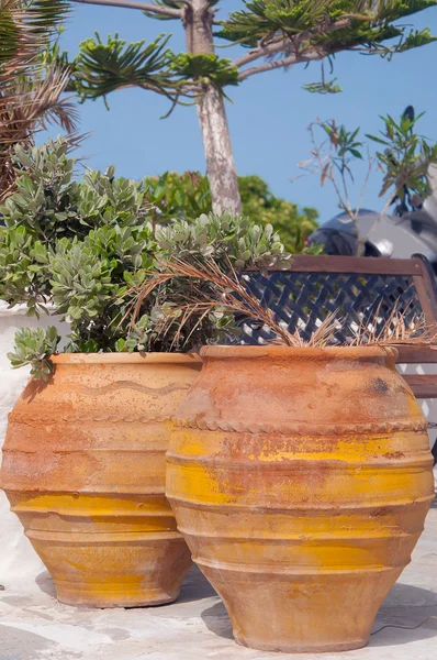 Clay pots with flowers in the Greek style. — Stock Photo, Image