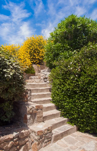 The staircase in the garden of the rough stone is surrounded by — Stock Photo, Image