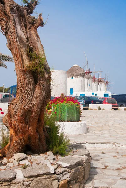 Windmills on a hill near the sea on the island of Mykonos and ol — Stock Photo, Image