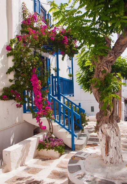 Bougainvillea bloemen rond een huis met een balkon. Mykonos. — Stockfoto