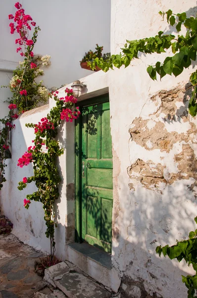 古い白塗りの壁、花のついた枝に緑のドア. — ストック写真