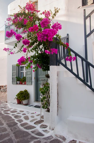 Bougainvillea flowers around a shop . Mykonos. Royalty Free Stock Photos