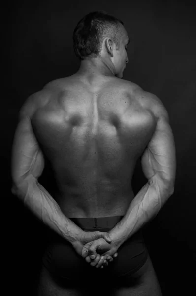 Muscled male model showing his back